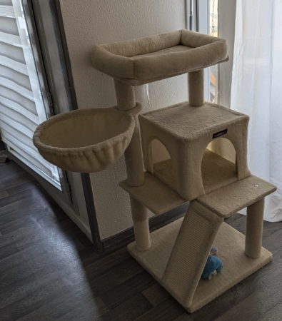 Donne chat 8 Mois – Chat / Chaton à donner à Haute-Garonne (31)