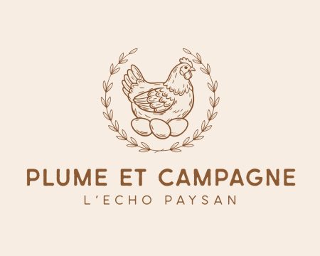 Poule et Coq Sabelpoot – Ferme / Basse-cour à donner à Tieffenbach (67) (photo 3)
