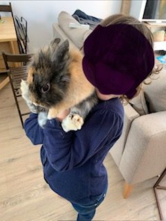 Donne Lapine Toy 2 ans cause déménagement – Lapin à donner à Eysines (33)